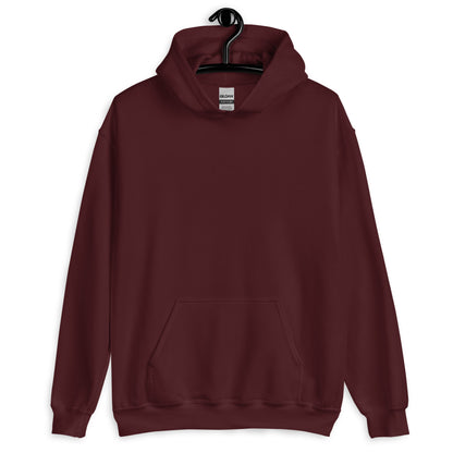 DTS Automotive Hoodie - Men’s